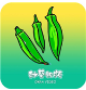 秋葵影视直播汅版APP